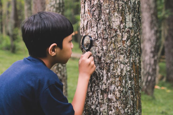 Como trabalhar a investigação científica na escola? 1 Foto de estudante realizando pesquisa de campo em floresta.