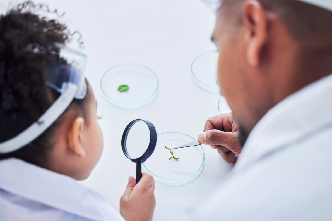 Como trabalhar a investigação científica na escola?